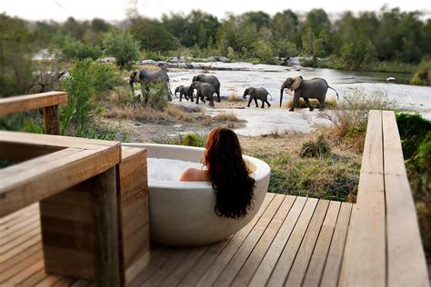 The 10 Best Safari Lodges in South Africa - World of Wanderlust