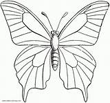Butterfly Coloring Pages Clipart  Free Printable sketch template