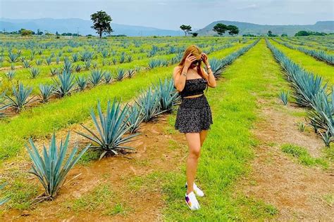 2024 Tequila Tour from Guadalajara provided by Vive Tequila