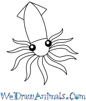Easy Squid Drawing