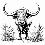 Majestic water buffalo coloring Page Lulu Pages sketch template