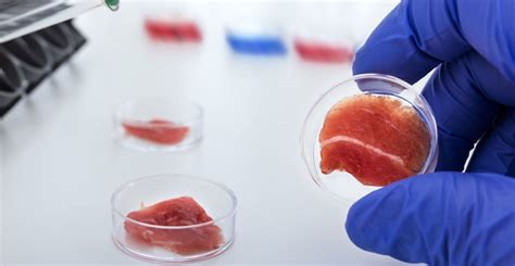 Startup's Lab-Grown Meat Is the Way of the Future