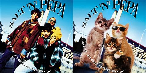 Famous Album Covers Recreated as Cat Photos | PetaPixel