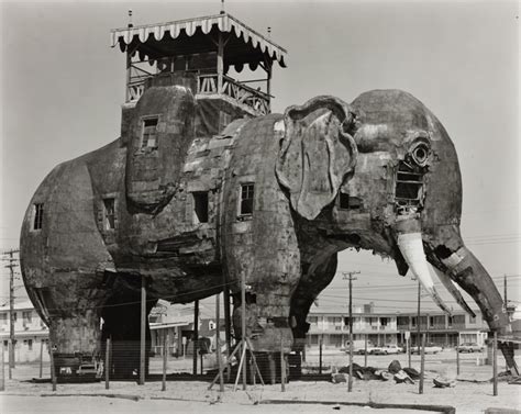 "Lucy" the Elephant, Margate, NJ | The Art Institute of Chicago