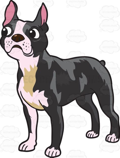 Boston Terrier Clipart at GetDrawings | Free download