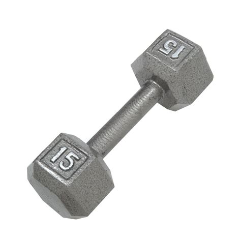 15 pound barbell everyday low prices