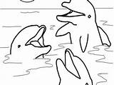 Dolphin Coloring Pages Free Printable sketch template