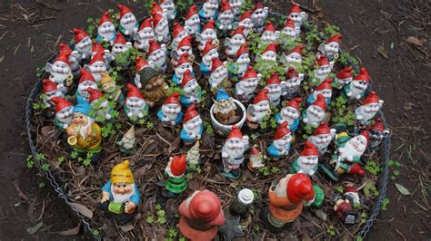 The Gnomes of Gnomesville in Ferguson Valley - Western Australia