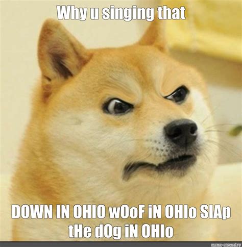 Meme: "Why u singing that DOWN IN OHIO wOoF iN OHIo SlAp tHe dOg iN ...