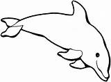 Dolphin Template  Animal Templates sketch template