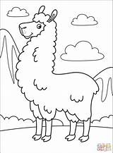 Llama coloring Page  Free Printable Coloring Pages sketch template