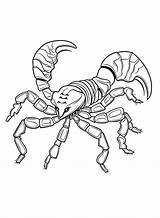 Scorpions Coloring Pages  Free Printable PDF & Online sketch template