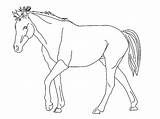 Horse Drawing coloring Page  Download Print Or Color Online For Free sketch template