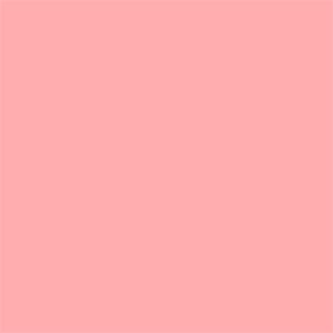 Rosco E-Colour #109 Light Salmon (48" x 25' Roll) 102301094825