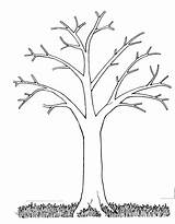 Bare Tree Coloring Pages  Home sketch template