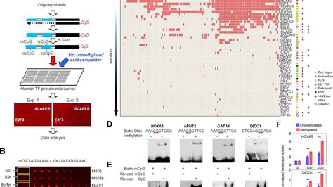 Protein Microarray Protocol - Protein Choices