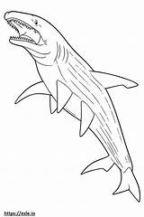 Basking Shark Cute coloring Page sketch template