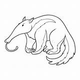 Anteater Coloring Pages Ant Clipart Drawing Outline Hill Giant Cliparts  sketch template