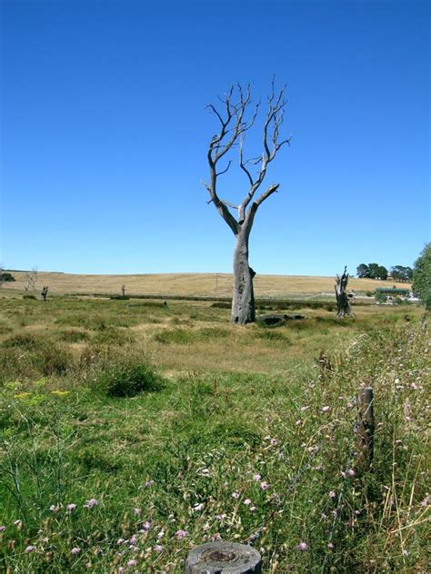 Goolwa Attractions | Goolwa Riverwalk B&B