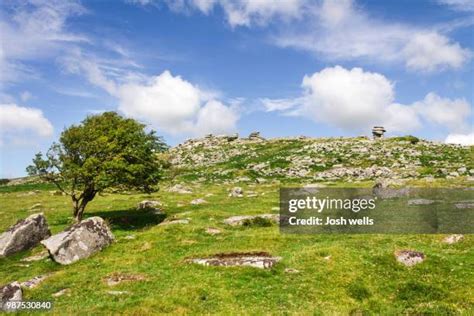 487 Bodmin Moor Stock Photos, High-Res Pictures, and Images - Getty Images