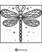22 Free Dragonfly Coloring Pages – The Color Cove sketch template