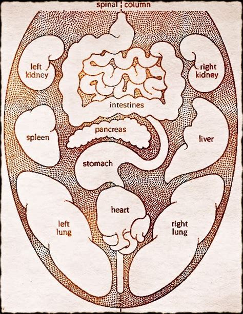 tongue diagnosis | Tongue health, Acupuncture, Ayurvedic