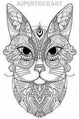 Cat Coloring Page For Adults Printable Adult Advanced  sketch template