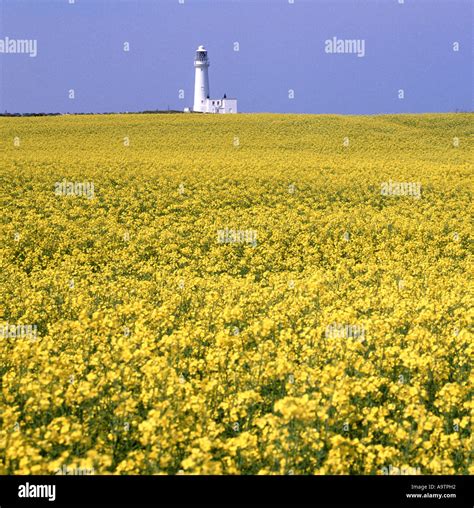 Oil Field North Sea High Resolution Stock Photography and Images - Alamy