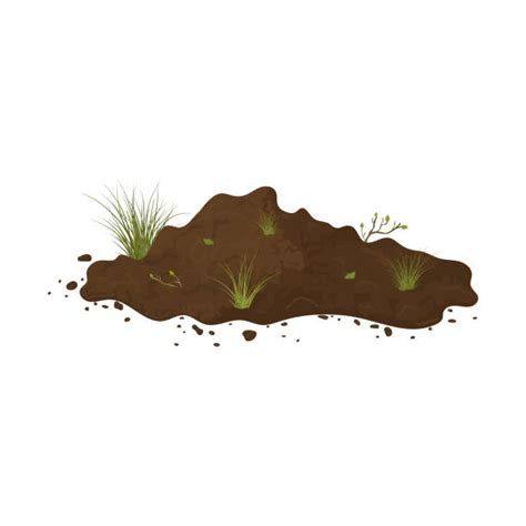 Dirt Pile Cartoon Stock Photos, Pictures & Royalty-Free Images - iStock