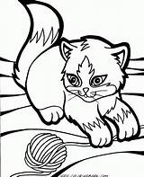 Coloring Kitten Pages Cat Tabby Kittens Printable Cats Baby Cute Print  sketch template