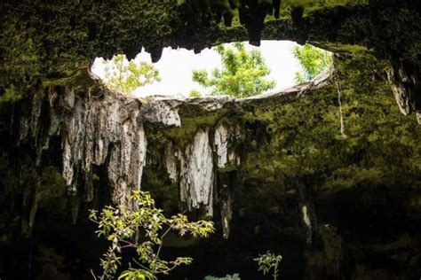 What is a Cenote and the Different Types of Cenotes? - DOWN TO SCUBA