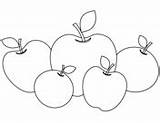 Apples coloring Pages  Free Coloring sketch template