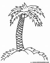 Free Palm Branch Coloring Page Download  sketch template