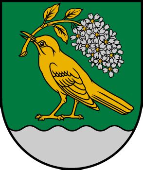 Coat of arms of Viļāni Municipality (Latvia) | Coat of arms, Medieval shields, Viking history