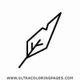 Quill Coloring Pages  Ultra sketch template
