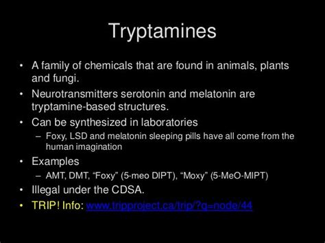 LSD-25 & TRYPTAMINE SYNTHESIS PDF