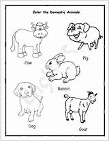 Domestic Animals For Coloring Pages sketch template