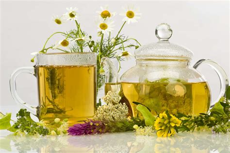 7 Herbal Teas To Naturally Improve Your Fertility