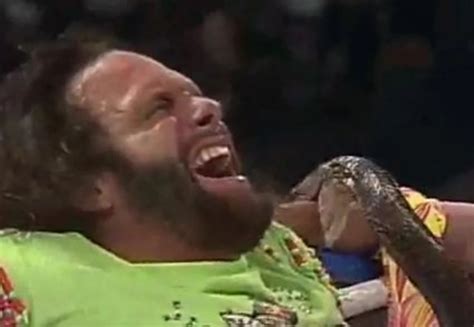 ‘Macho Man’ Randy Savage Gets Bitten By Jake “The Snake” Roberts’ King Cobra [VIDEO]