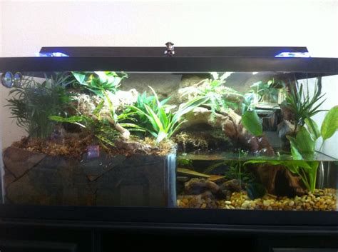 Salamander Home | Fish tank, Aquarium, Terrerium