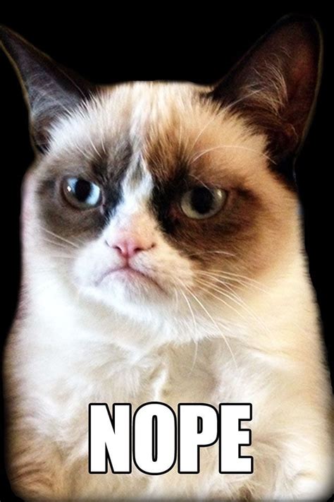 Grumpy Cat- Nope | Sarcasmo