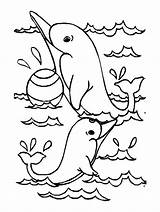 Dolphin Coloring Page sketch template