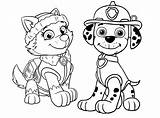 Paw Patrol Everest Coloring Pages To Print sketch template