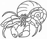 Hermit Crab 4 Coloring Pages  Cool sketch template