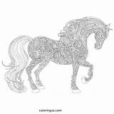 Detailed Coloring Pages Free Printable PDF sketch template