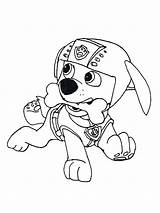 Zuma Paw Patrol coloring Pages sketch template