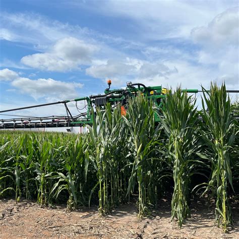 Farmers Find New Short Corn a Tall Order - WSJ