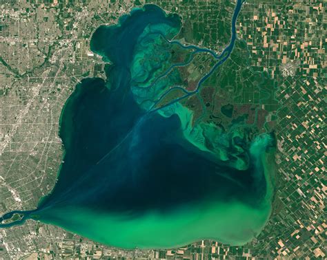 Algal Blooms From Space