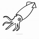 Squid Coloring Pages To Print Coloring sketch template