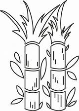 Drawing Candy Sugarcane Pages Sugar Coloring Cane Drawings Skull  sketch template
